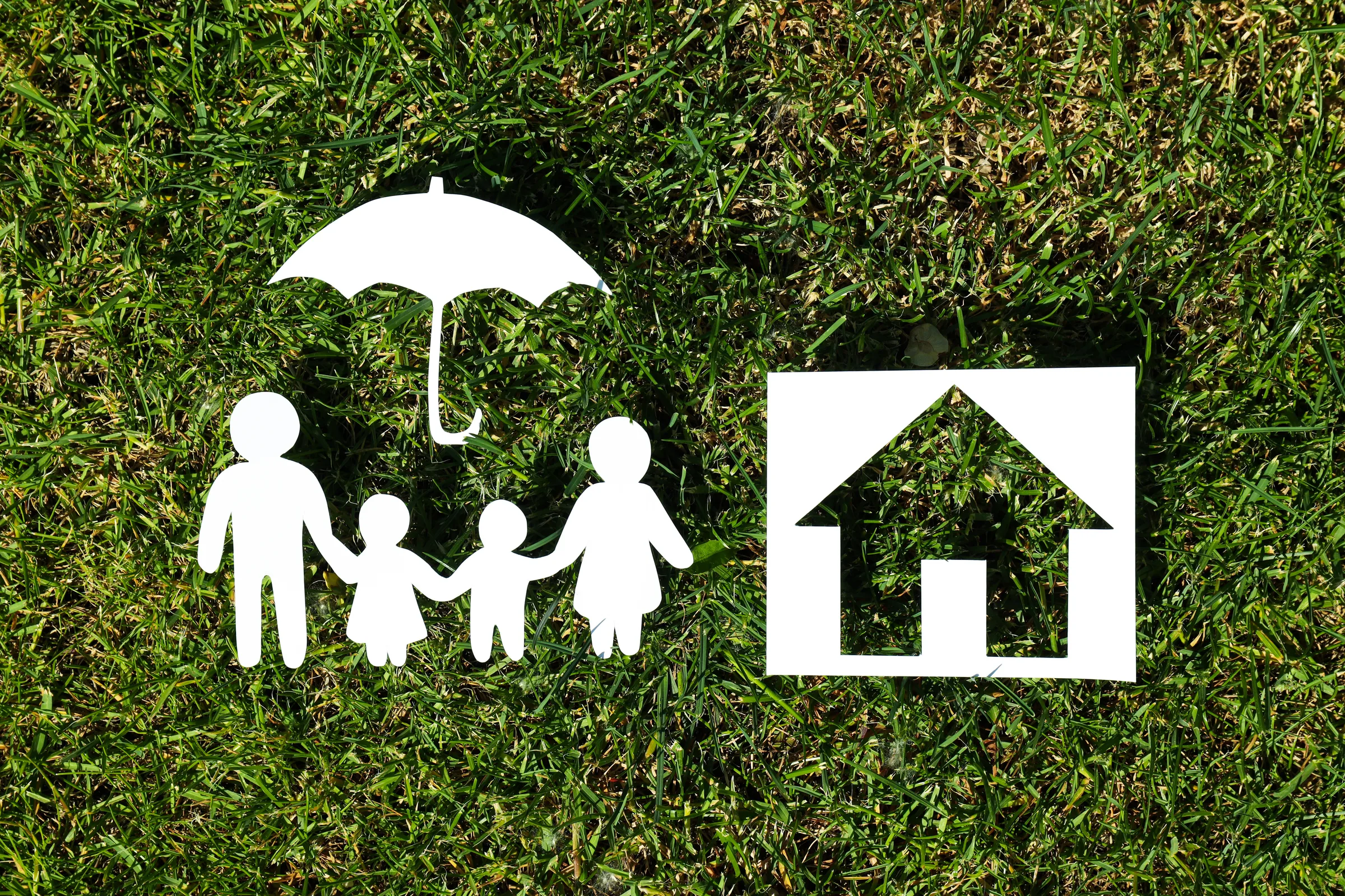 Figuras que representan a la familia, el hogar y su protección